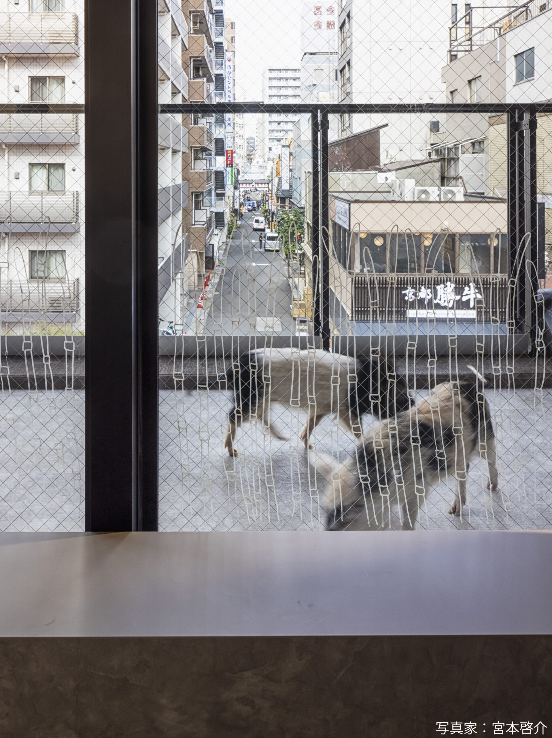 pignic cafe 浅草店のアフター2