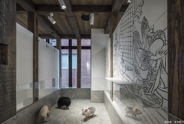 pignic cafe 浅草店
