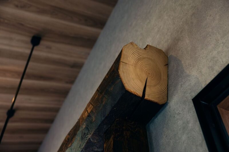 自然と寄り添うカフェ空間