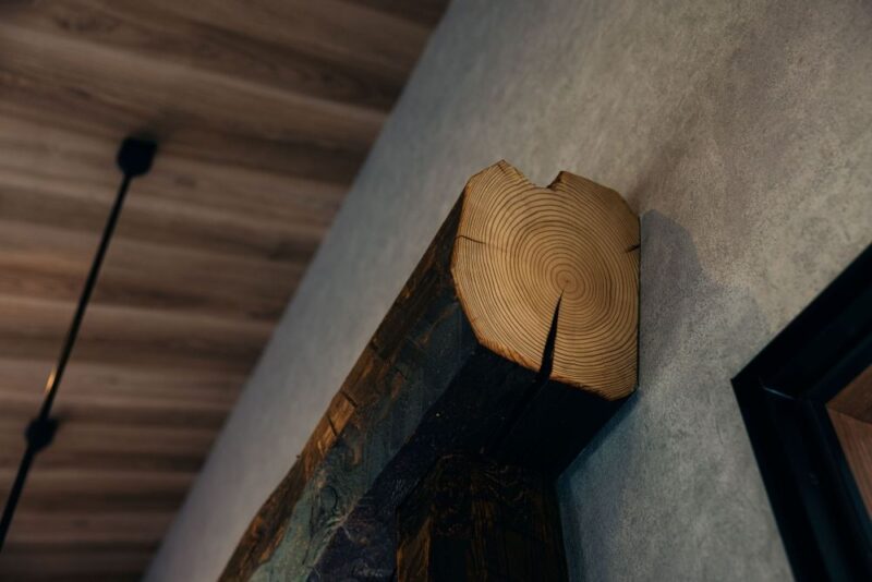 自然と寄り添うカフェ空間