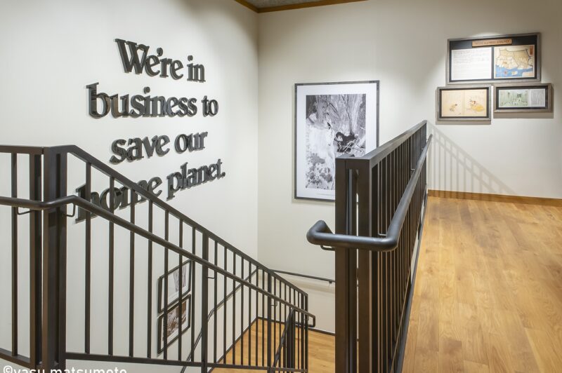 パタゴニア 東京・京橋　1