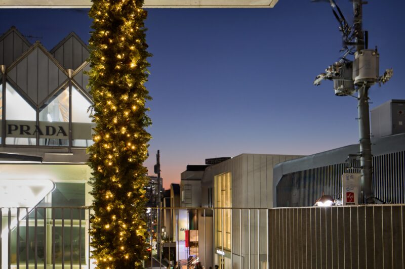 JMM 東京 表参道ギャラリー　古木ベンチ納品1