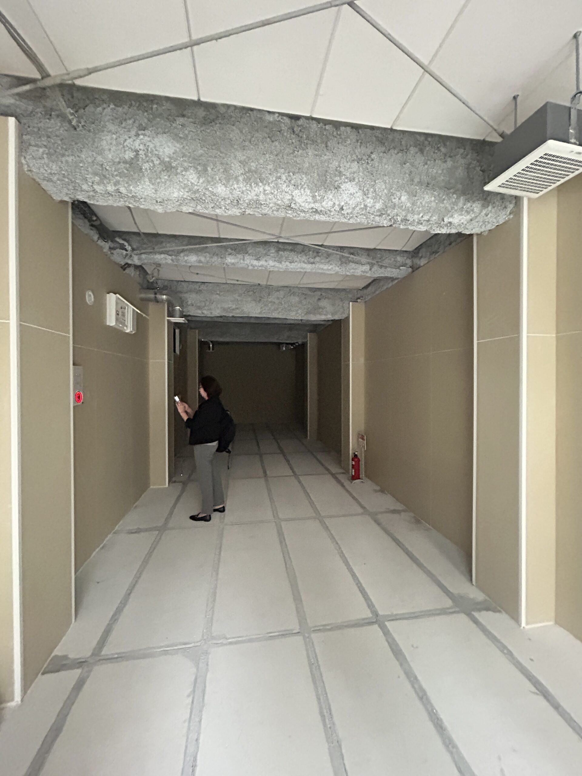 錦のはりくのビフォー1