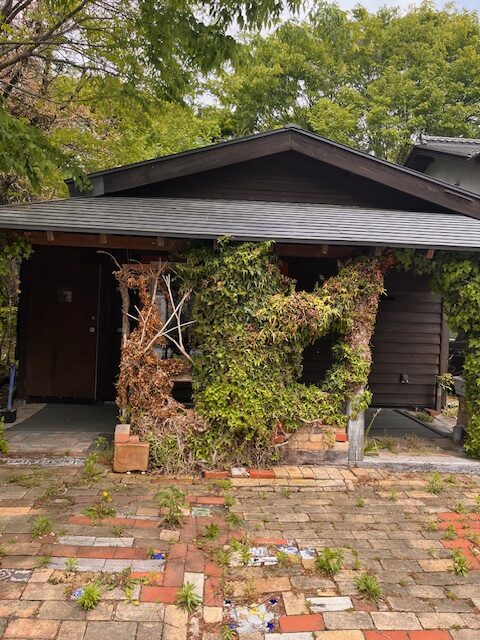 焼鳥森香のビフォー2