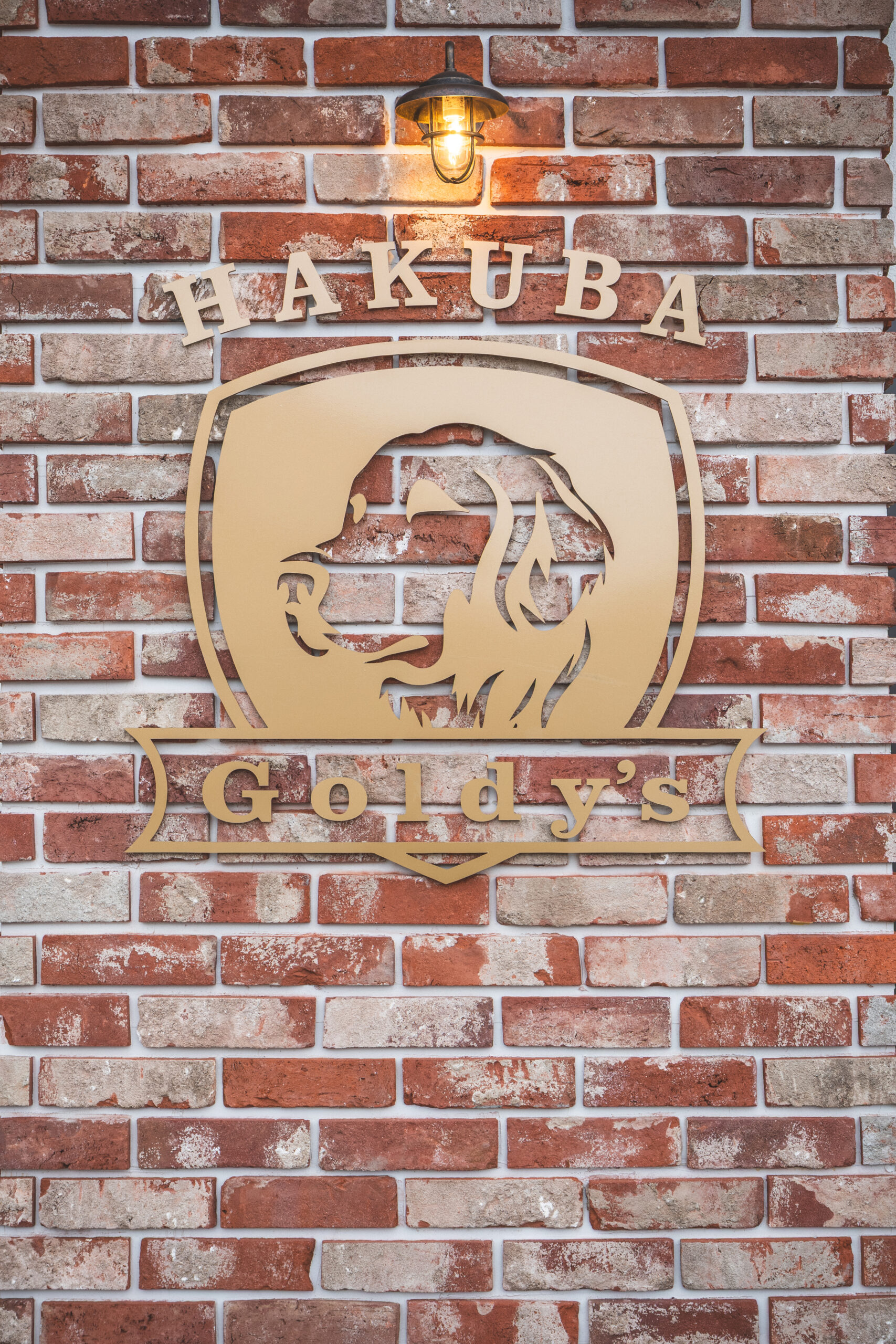 Goldy’s HAKUBA　外観1