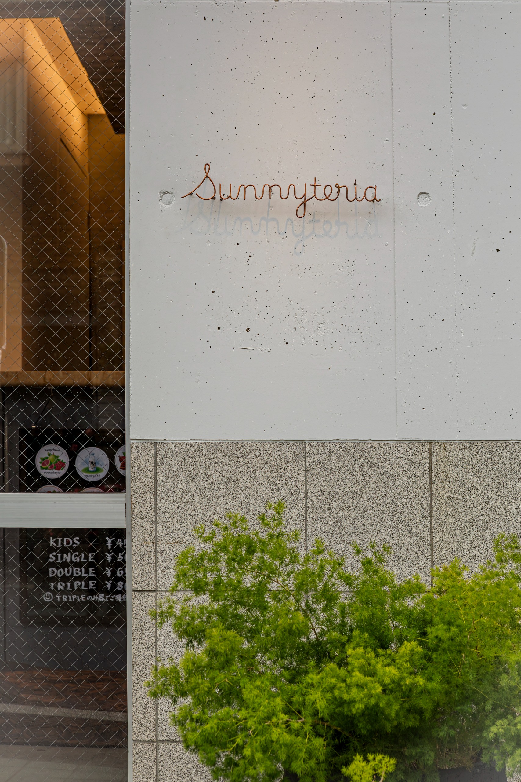 Gelato Sunnyteria　8